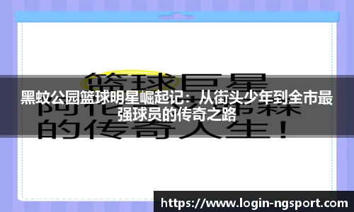黑蚊公园篮球明星崛起记：从街头少年到全市最强球员的传奇之路